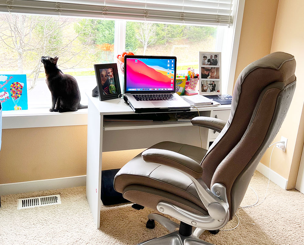 remote work station with chair, laptop computer and black cat